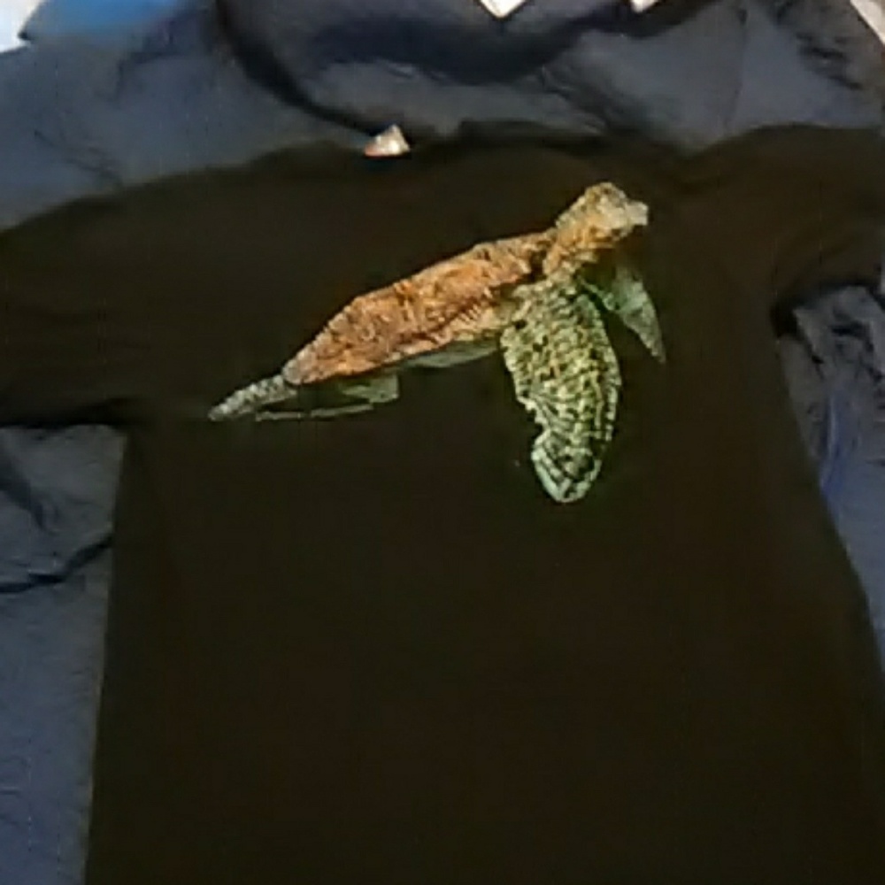 Turtle t-shirt - Picture 3 of 3